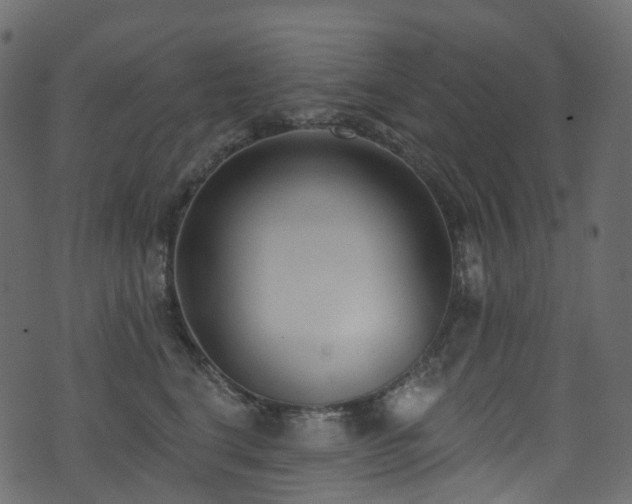 X0000074240664200608251140