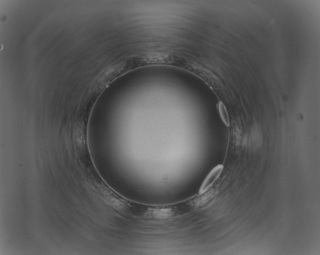 X0000074240665200608251140