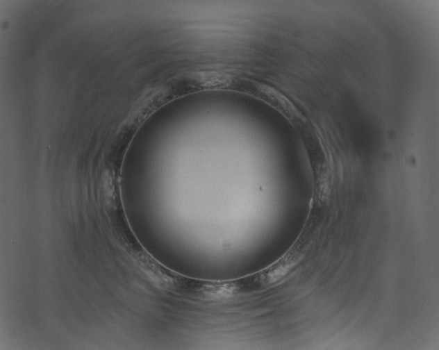 X0000074240667200608251140