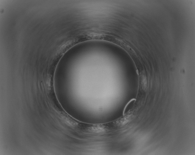 X0000074240668200608251140