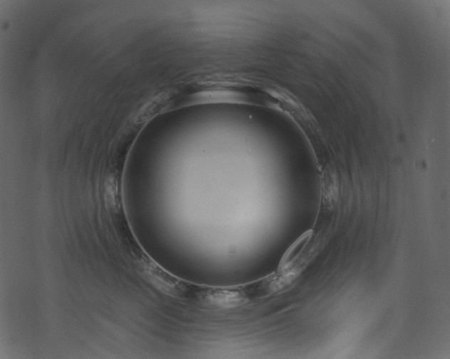 X0000074240669200608251140