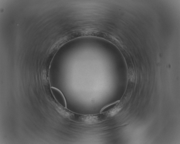 X0000074240670200608251140