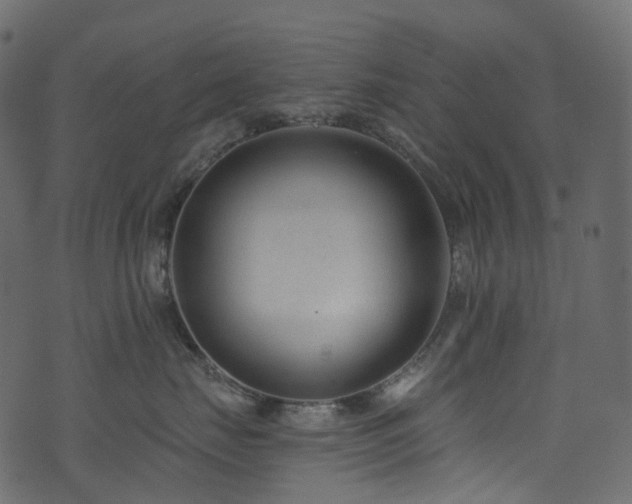 X0000074240671200608251140