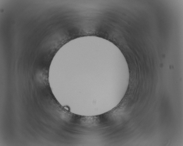 X0000074240672200608251140