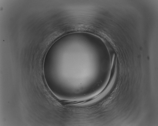 X0000074240673200608251139