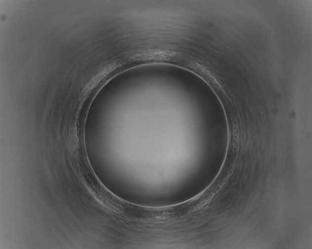 X0000074240674200608251139