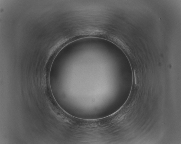 X0000074240675200608251139