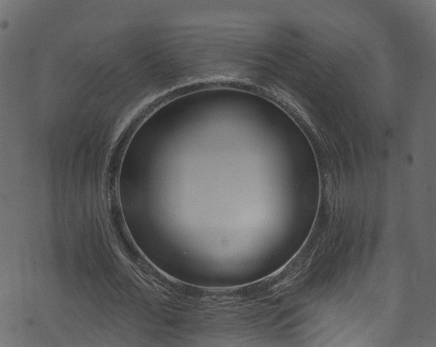 X0000074240676200608251139