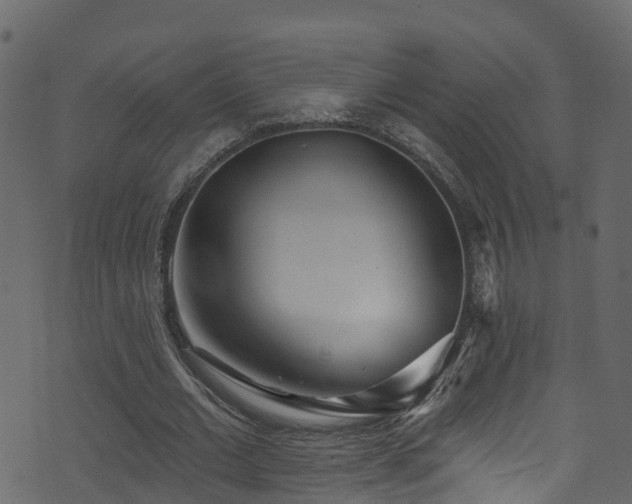 X0000074240677200608251139