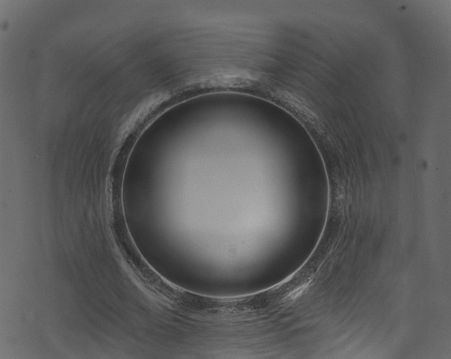 X0000074240678200608251139