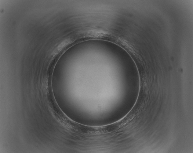 X0000074240679200608251139