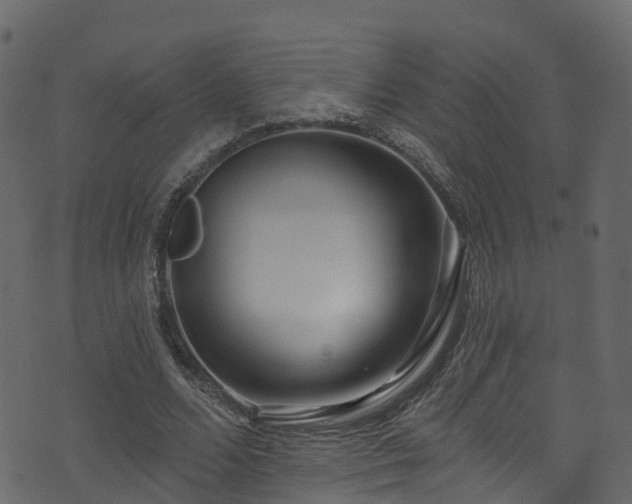 X0000074240680200608251139