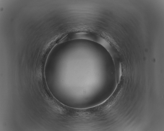 X0000074240681200608251139