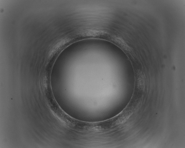 X0000074240683200608251139