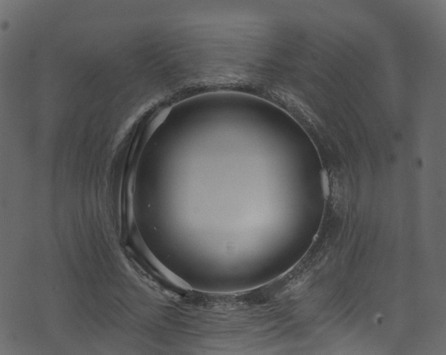 X0000074240684200608251139