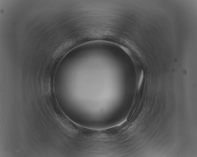 X0000074240685200608251139