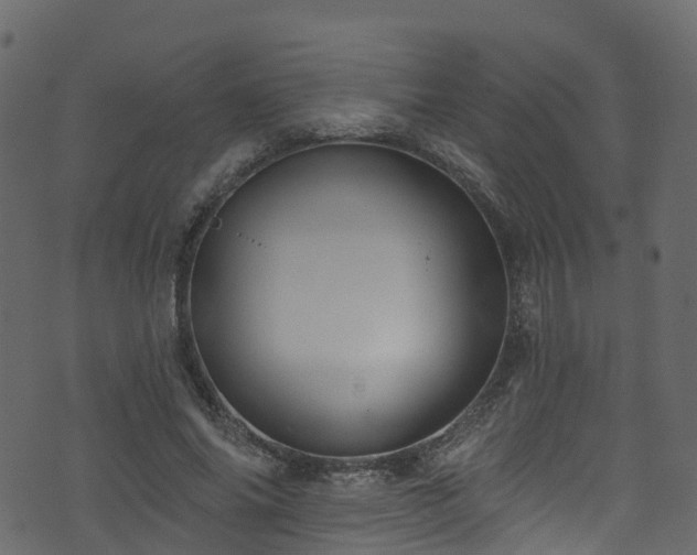 X0000074240686200608251139