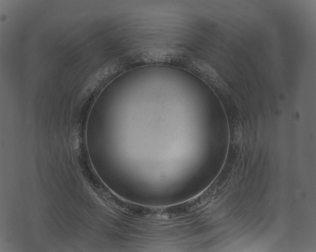 X0000074240687200608251139