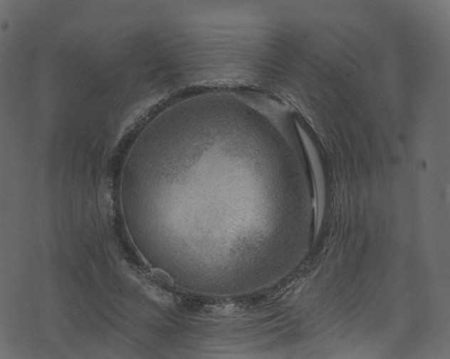 X0000074240688200608251139