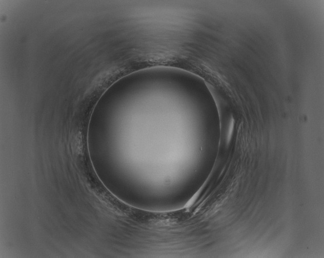 X0000074240689200608251139