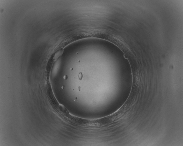 X0000074240691200608251139