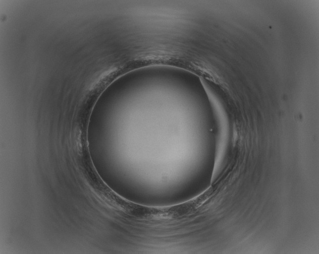 X0000074240692200608251139