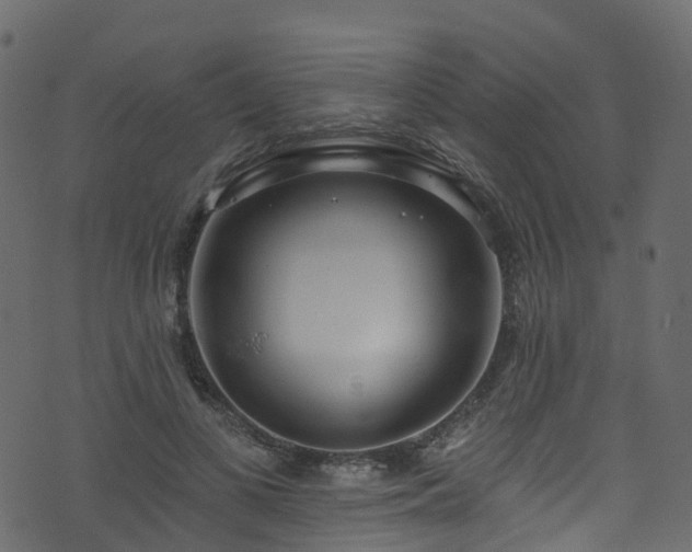 X0000074240693200608251139