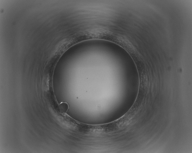 X0000074240694200608251139