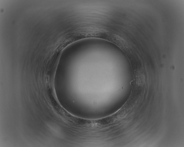 X0000074240695200608251139