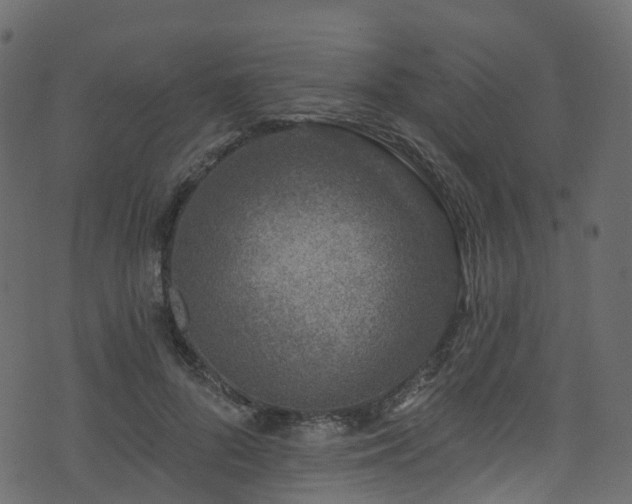 X0000074240696200608251139