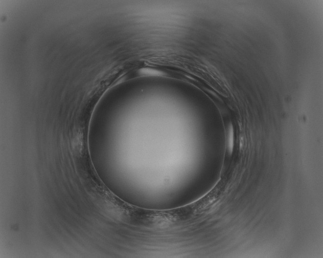 X0000074240697200608251139