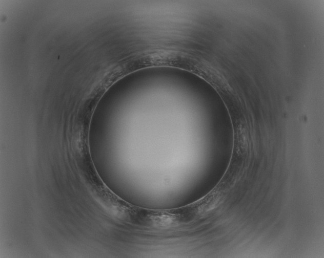 X0000074240698200608251139