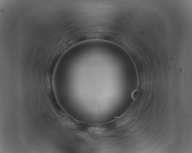 X0000074240699200608251139