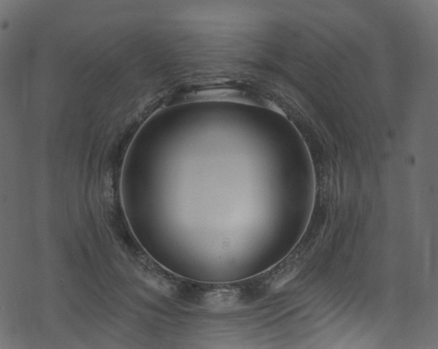 X0000074240700200608251139