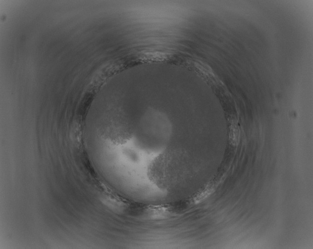 X0000074240701200608251139