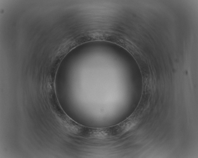 X0000074240702200608251139