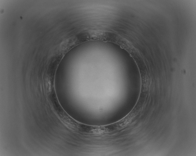 X0000074240703200608251139