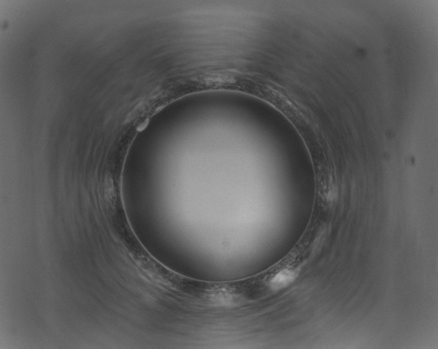 X0000074240704200608251139