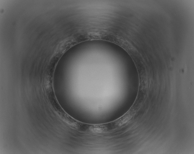 X0000074240706200608251139