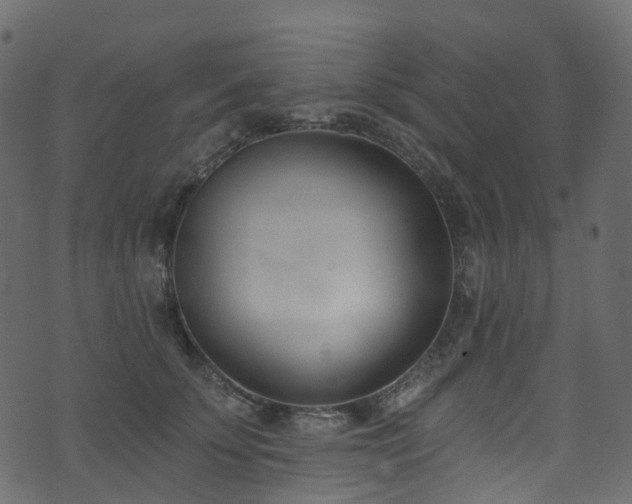 X0000074240707200608251139