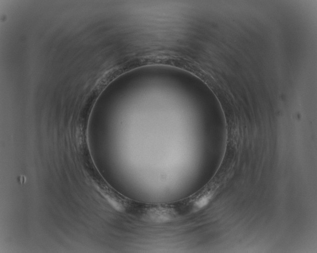 X0000074240708200608251139