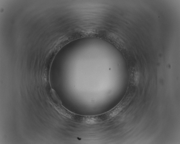 X0000074240710200608251139