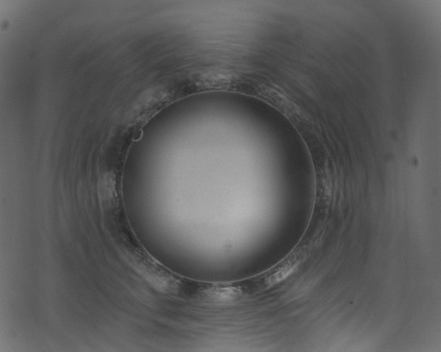 X0000074240711200608251139