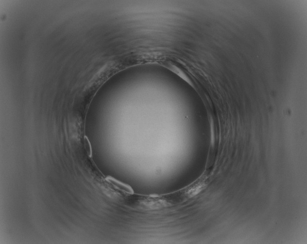 X0000074240712200608251139