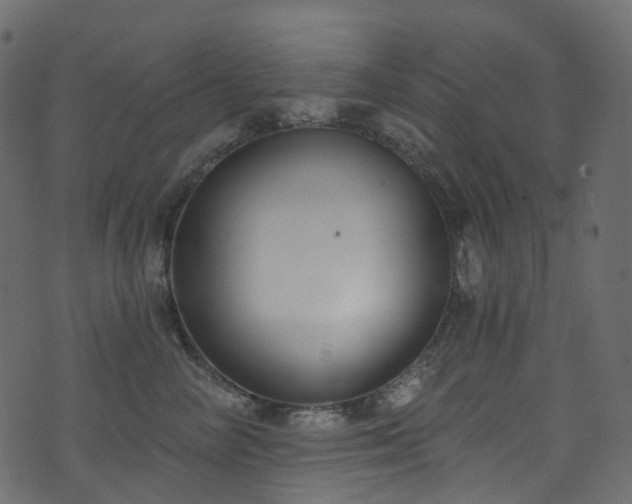 X0000074240714200608251138