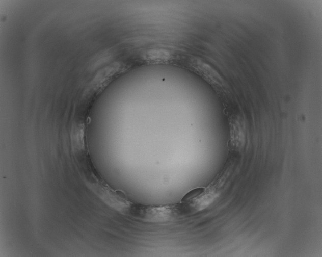 X0000074240717200608251138