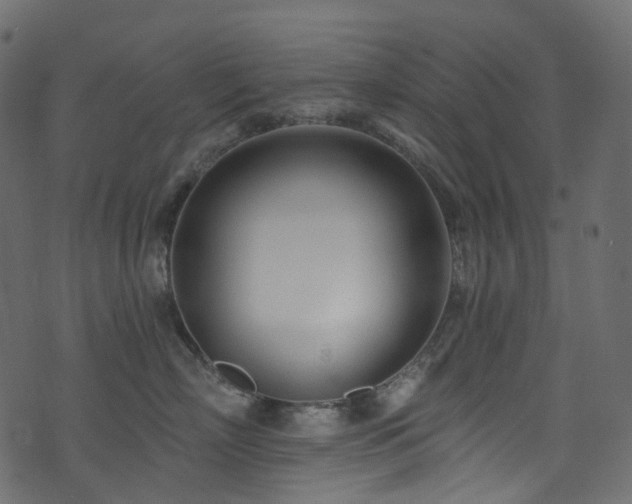 X0000074240718200608251138