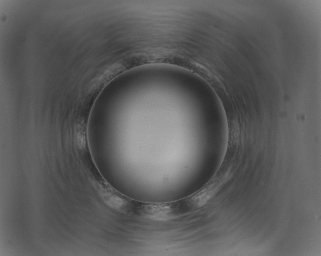 X0000074240719200608251138