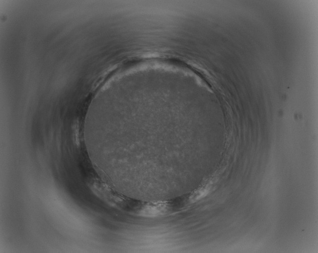 X0000074240720200608251138