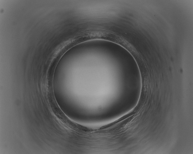 X0000074240722200608251138